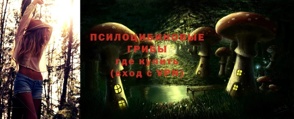 прущие крисы Балахна