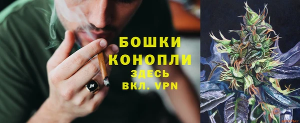 прущие крисы Балахна