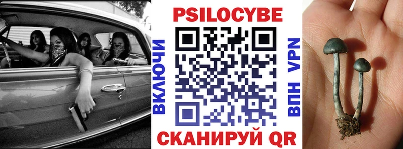 Псилоцибиновые грибы Psilocybine cubensis  Биробиджан 